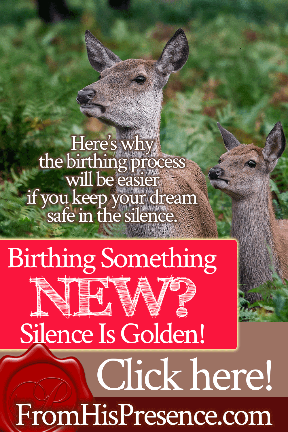 Birthing Something New? Keep It In the Silence | Supernatural life mentoring by Jamie Rohrbaugh | FromHisPresence.com