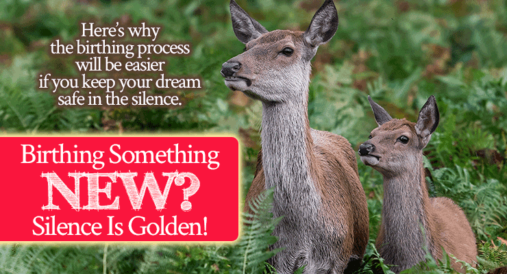 Birthing Something New? Keep It In the Silence