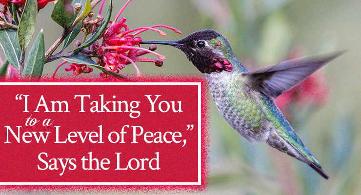 "I Am Taking You to a New Level of Peace," Says the Lord | Prophetic word by Jamie Rohrbaugh | FromHisPresence.com