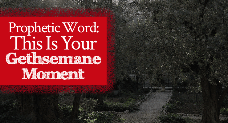 Prophetic Word: This Is Your Gethsemane Moment | by Jamie Rohrbaugh | FromHisPresence.com