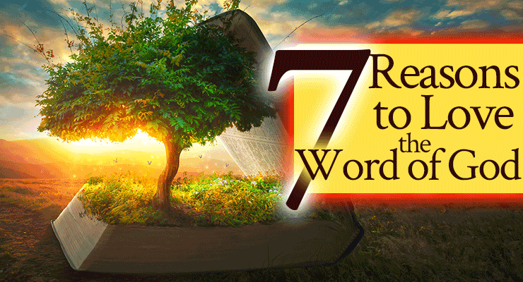 7 Reasons to Love the Word of God