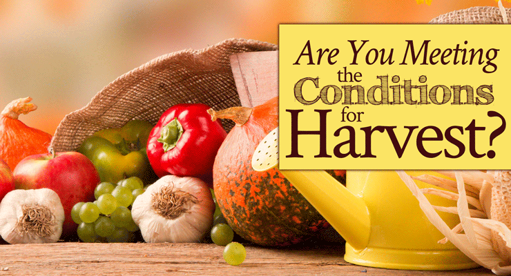 Are You Meeting the Conditions for Harvest?