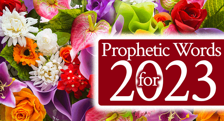 Prophetic Words for 2023 | FromHisPresence.com | by Jamie Rohrbaugh