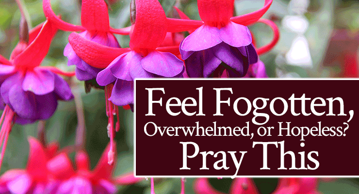 Feel Forgotten, Overwhelmed, or Hopeless? Pray This