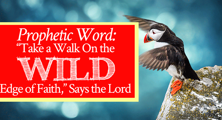 “Take a Walk On the Wild Edge of Faith,” Says the Lord