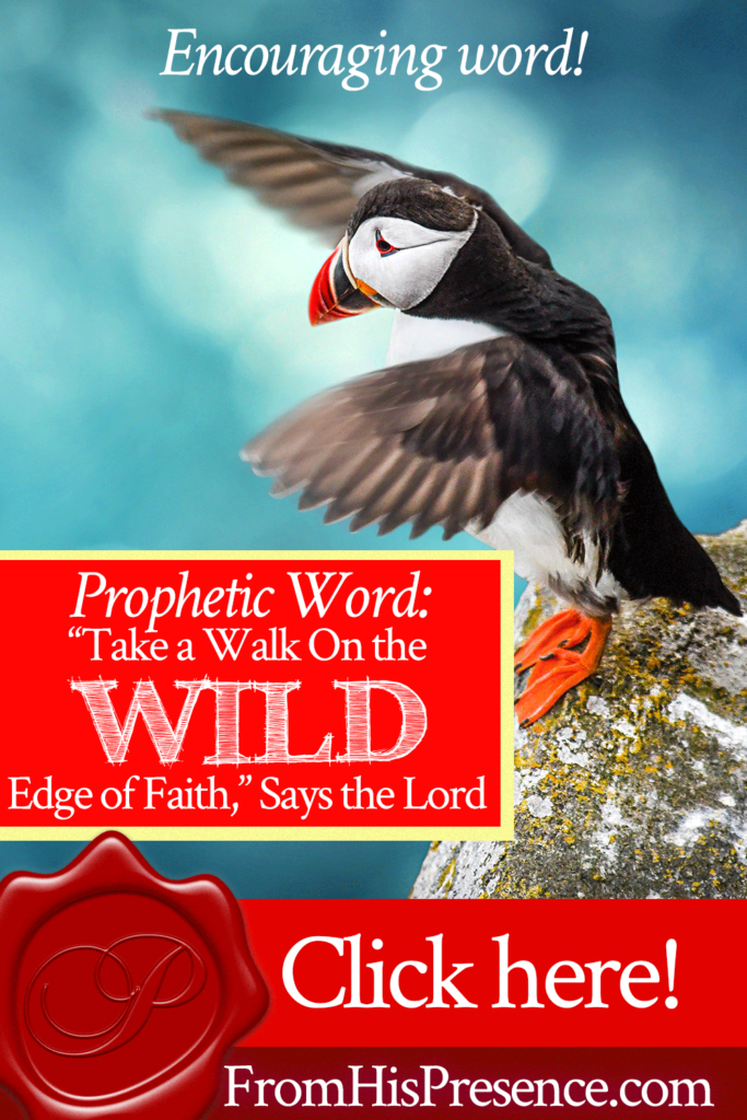 "Take a Walk On the Wild Edge of Faith," Says the Lord