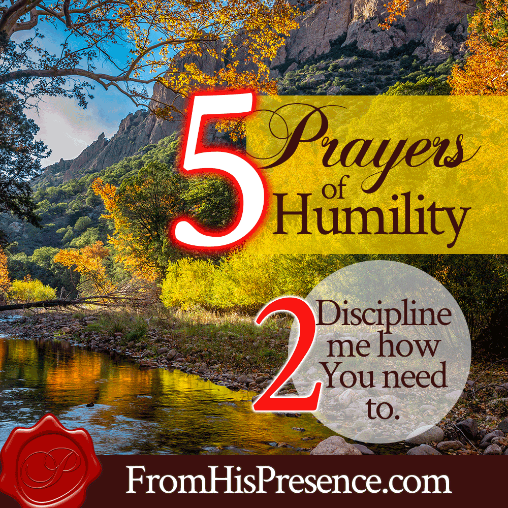 Prayer 2: Discipline me how You need to. | 5 Prayers of Humility | Infographic | by Jamie Rohrbaugh | FromHisPresence.com