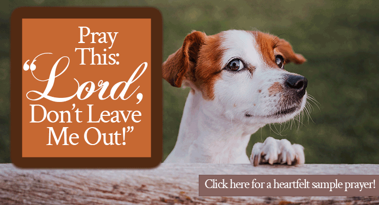Pray This: “Lord, Don’t Leave Me Out!”