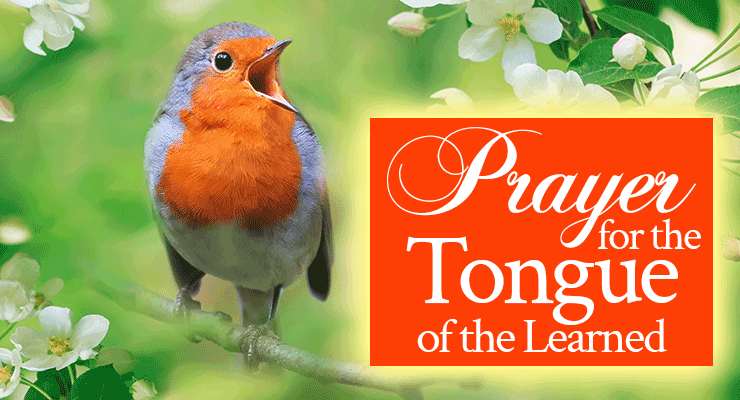 Prayer for the Tongue of the Learned