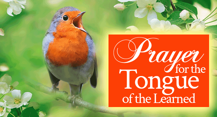 Prayer for the Tongue of the Learned | by Jamie Rohrbaugh | FromHisPresence.com