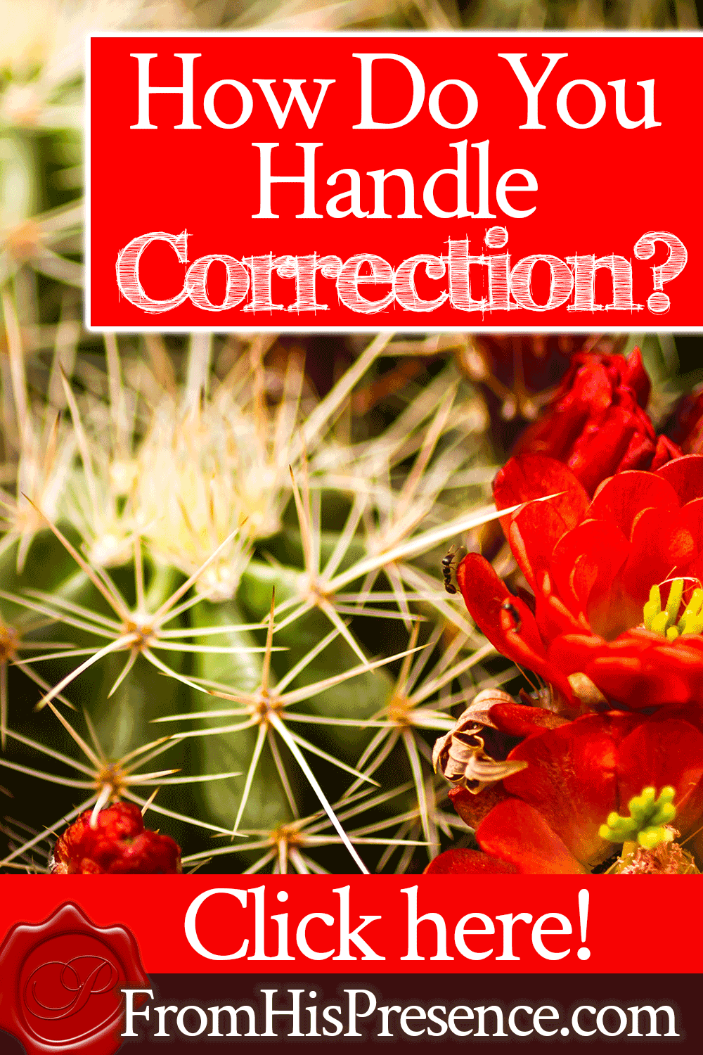 How Do You Handle Correction? | FromHisPresence.com | by Jamie Rohrbaugh