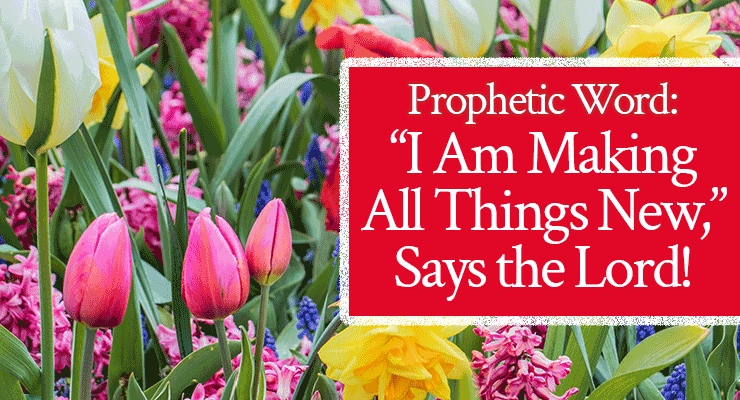 Prophetic Word: “I Am Making All Things New,” Says the Lord