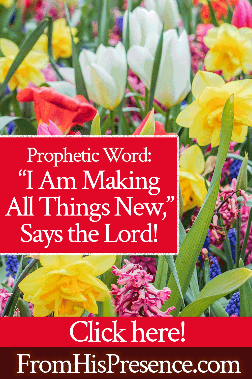 Prophetic Word: "I Am Making All Things New," Says the Lord | by Jamie Rohrbaugh | FromHisPresence.com