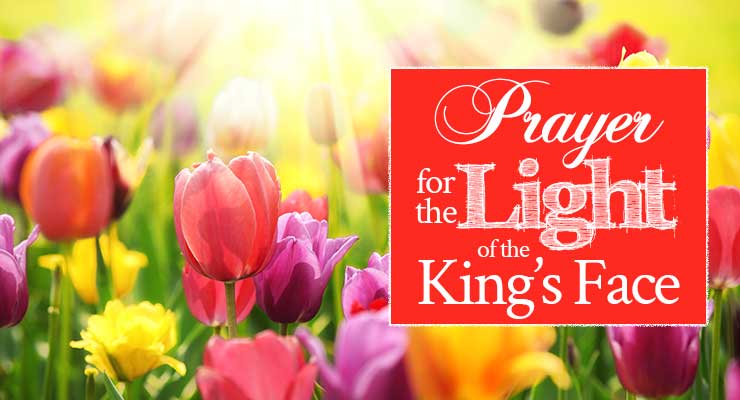 Prayer for the Light of the King's Face | by Jamie Rohrbaugh | FromHisPresence.com