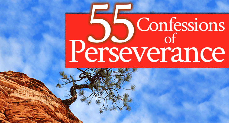 55 Confessions of Perseverance