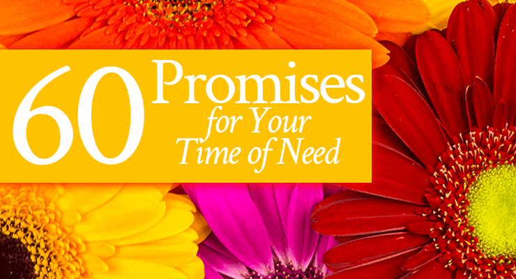 60 Promises To Cling To In Your Time of Need: Introduction