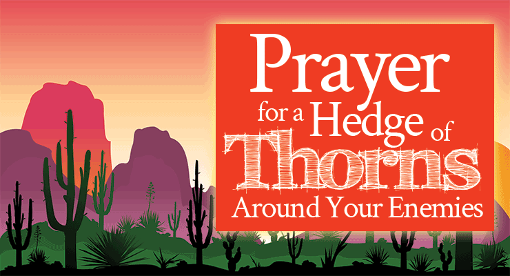 Prayer for a Hedge of Thorns Around Your Enemies