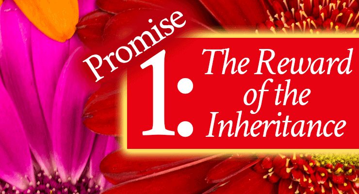 Promise 1: The Reward of the Inheritance