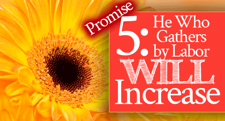 60 Promises to Cling To In Your Time of Need | FromHisPresence.com | by Jamie Rohrbaugh | Promise 5: He Who Gathers by Labor Will Increase