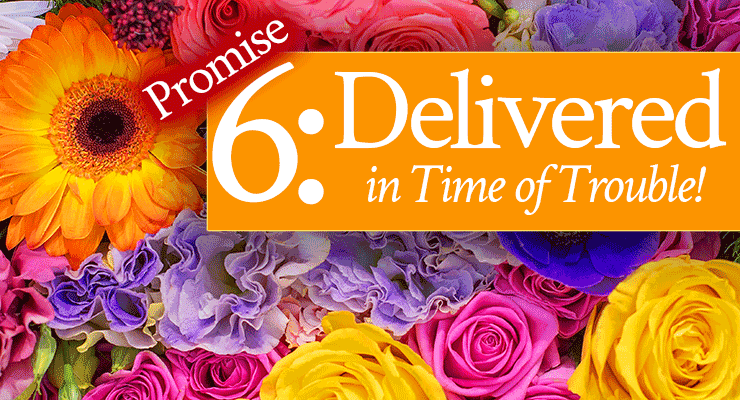 Promise 6: Delivered in Time of Trouble!