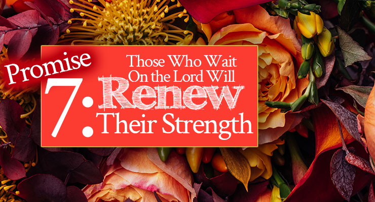 Promise 7: Those Who Wait on the Lord Shall Renew Their Strength