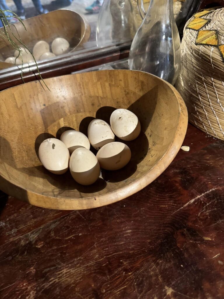 Eggs laid by chickens from our economic development program. These chickens belong to a family which was broken, but God is putting the family back together!