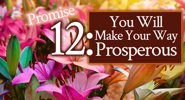 Promise 12: You Will Make Your Way Prosperous