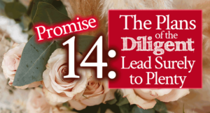 Promise 14 of 60 Bible Promises to Cling to: The Plans of the Diligent Lead Surely to Plenty | Encouraging word and Bible study devotional by Jamie Rohrbaugh | FromHisPresence.com