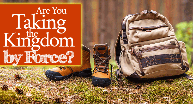Are You Taking the Kingdom by Force?