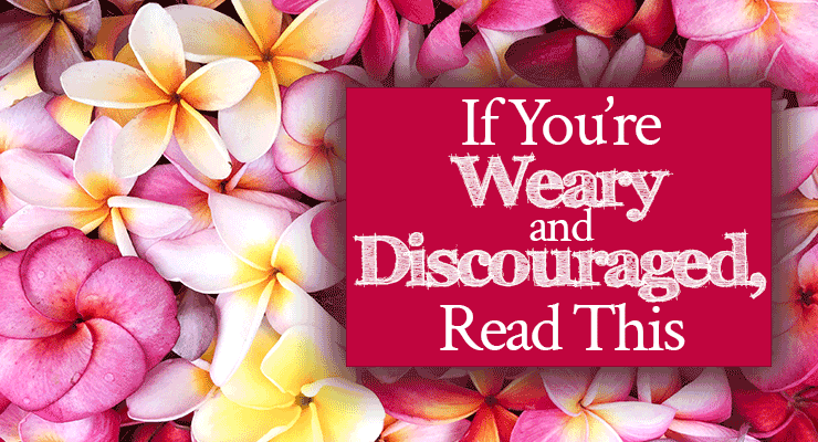 If You’re Weary and Discouraged, Read This
