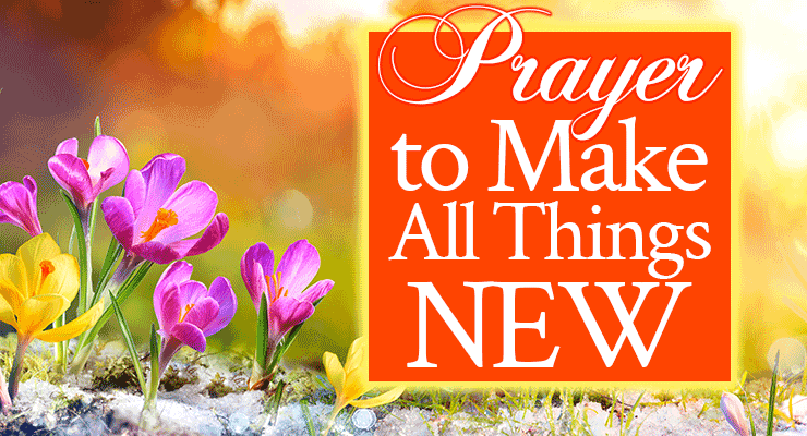 Prayer to Make All Things New