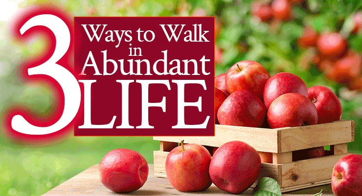 3 Ways to Walk In Abundant Life | by Jamie Rohrbaugh | FromHisPresence.com