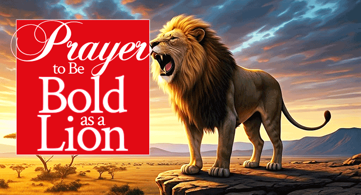 Prayer to Be Bold As a Lion | by Jamie Rohrbaugh | FromHisPresence.com
