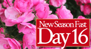 Day 16: God Is Not Tired of Being Faithful