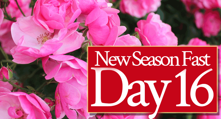Day 16: God Is Not Tired of Being Faithful