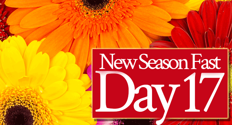 Day 17: Pray, “Lord, Help Me Receive As a Son!”