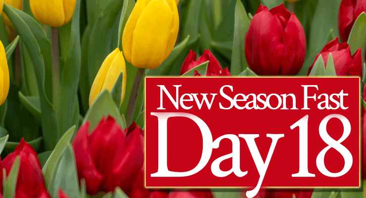 Day 18: Pray, “Lord, Reward Me for My Faithfulness!”