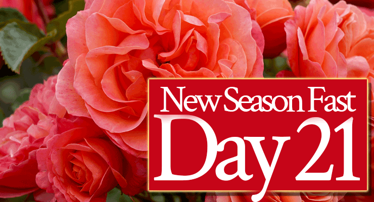 Day 21: Pray: “Lord, Prune Me As You Need To!”
