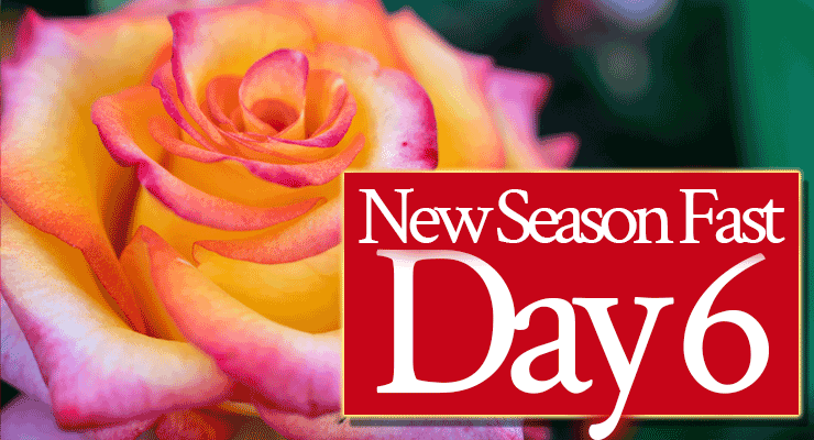 Day 6: God Has Not Cast You Away!