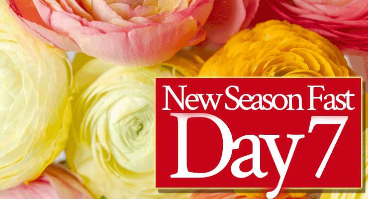 Day 7: “I Am Rearranging Things for Your Benefit and My Glory,” Says the Lord