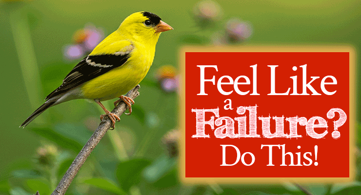 Feel Like a Failure? Do This! | Encouraging word by Jamie Rohrbaugh | FromHisPresence.com