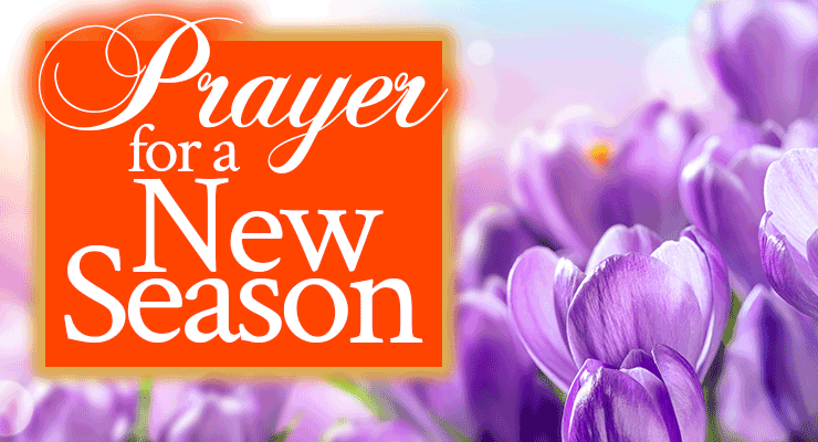Prayer for a New Season | by Jamie Rohrbaugh | FromHisPresence.com